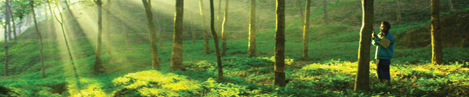 উপজেলা পরিসংখ্যান অফিস, রামু, কক্সবাজার।