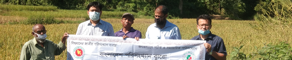 জুরাছড়ি উপজেলায় আমন ফসল কর্তন ২০২০