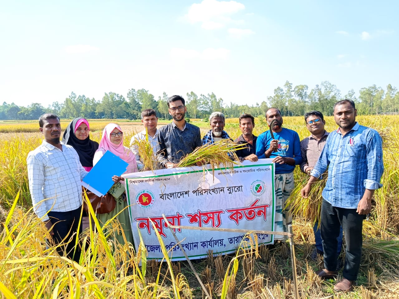 আমন ফসলের নমুনা কর্তন