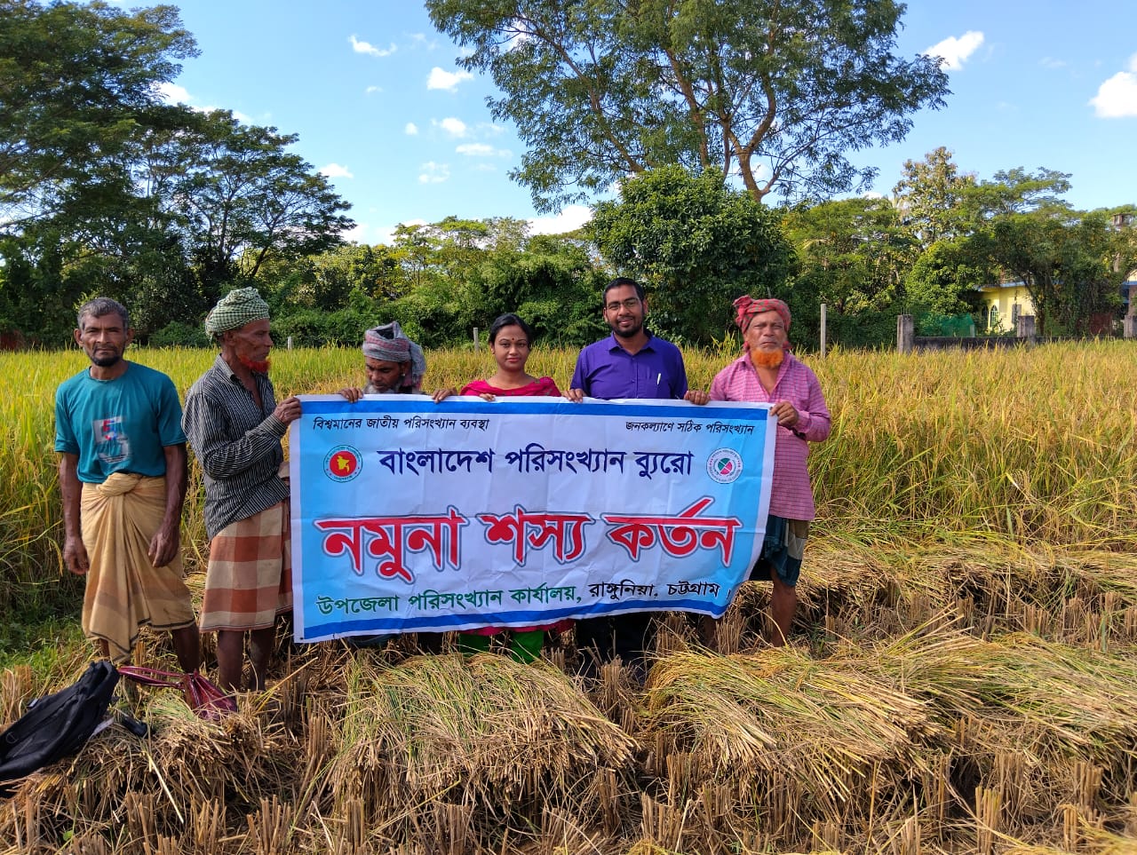 আমন কর্তন-2024 পারুয়া ইউনিয়ন, ইছামতি মৌজা, কুতুবউদ্দীন