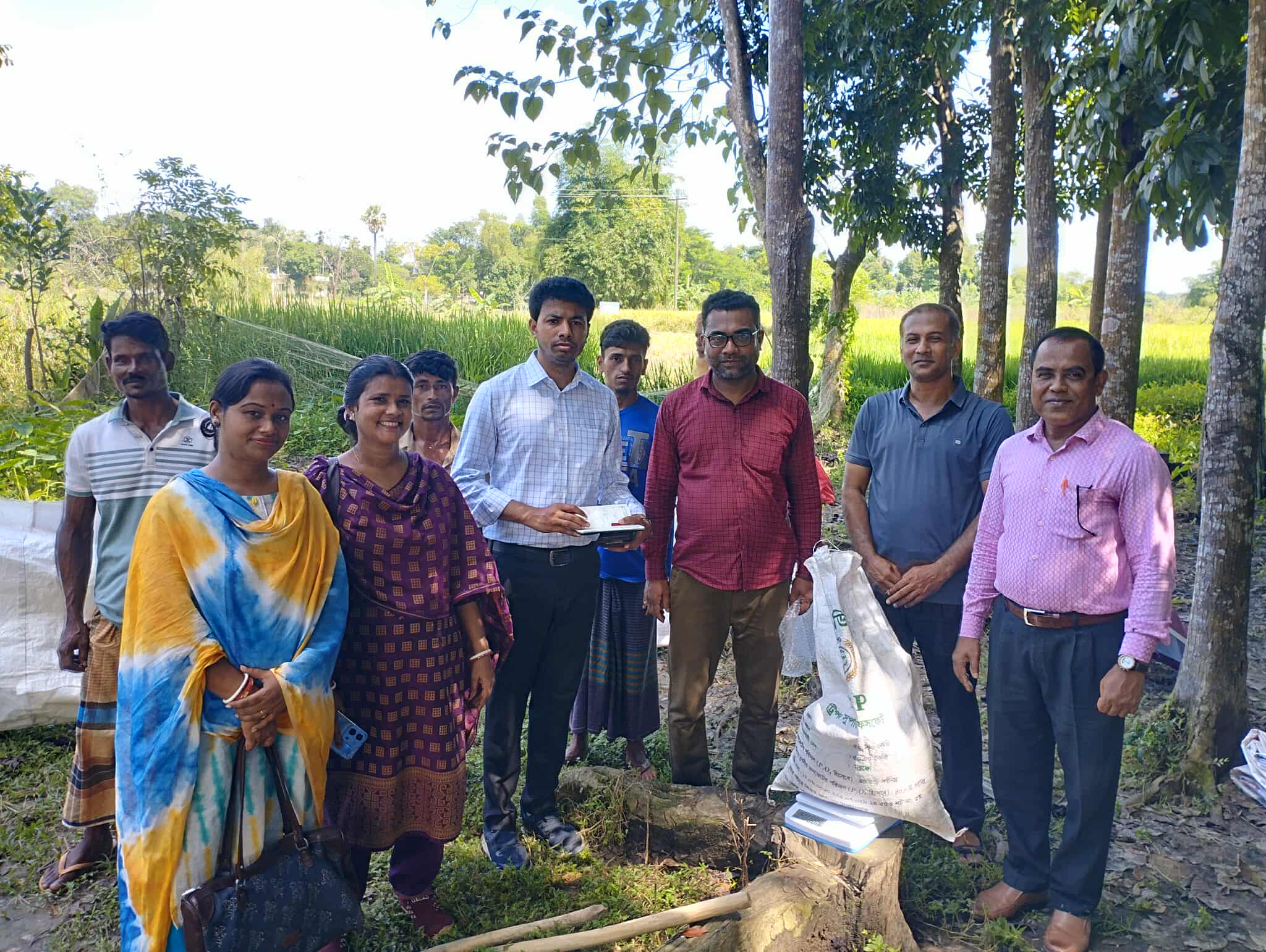 আউশ কর্তন ২০২৫,পদুয়া,রাংগুনিয়া।