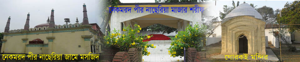 নেকমরদ ইউনিয়ন, রাণীশংকৈল ঐতিহাসিক স্থাপনা