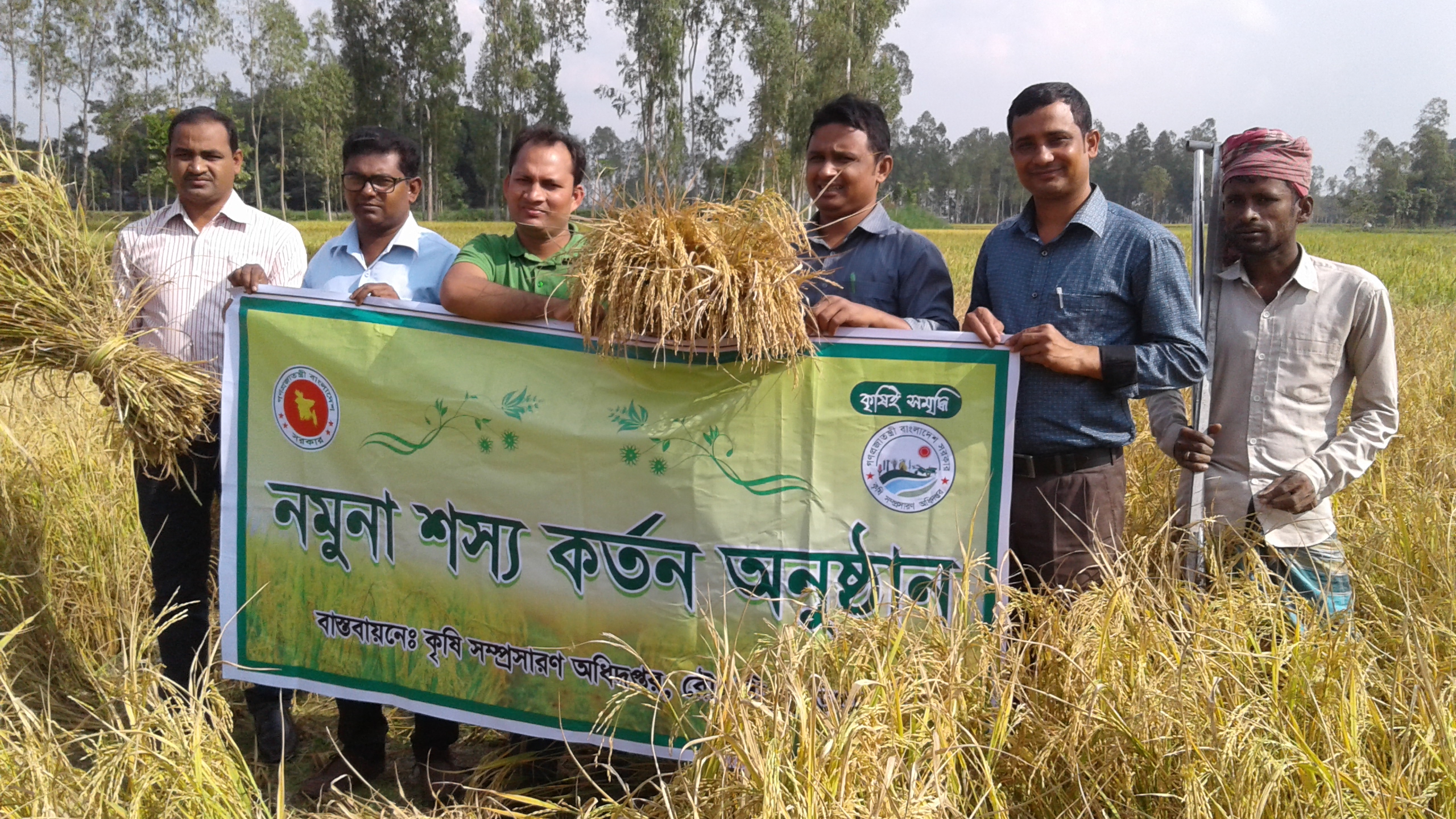 আমন কাটীং