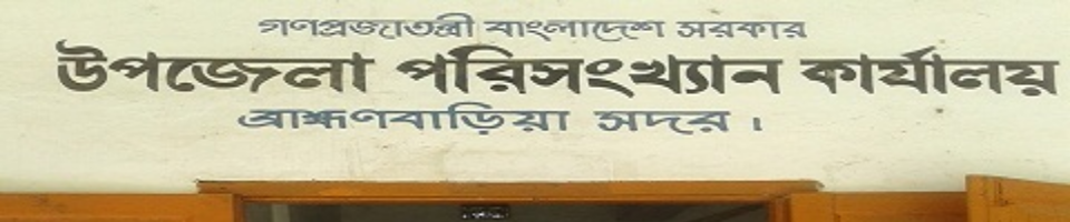 উপজেলা পরিসংখ্যান অফিস