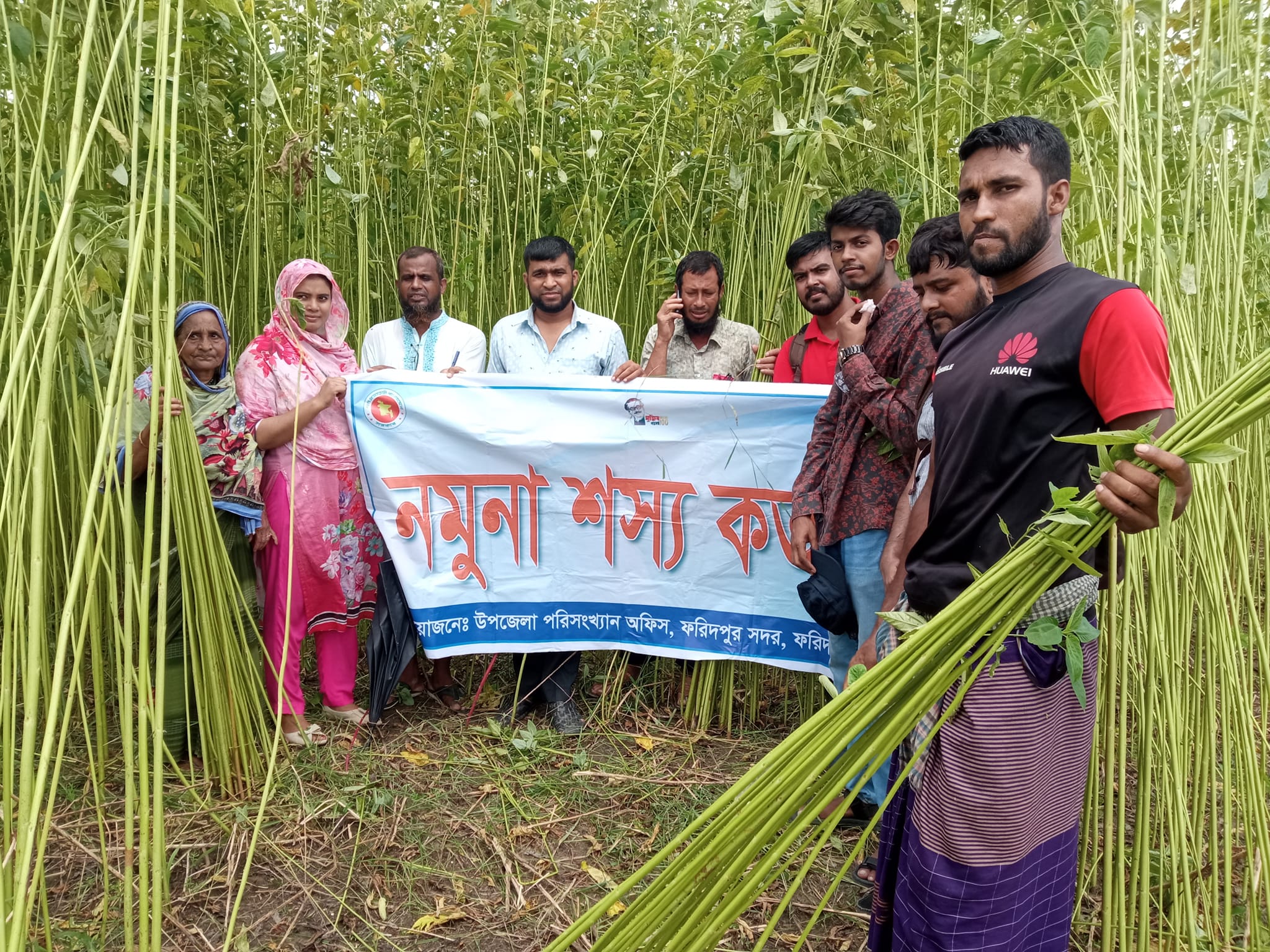 পাট ফসল কর্তন