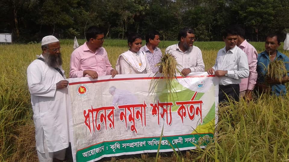 ই-সেবা কেন্দ্র, জেলা প্রশাসন