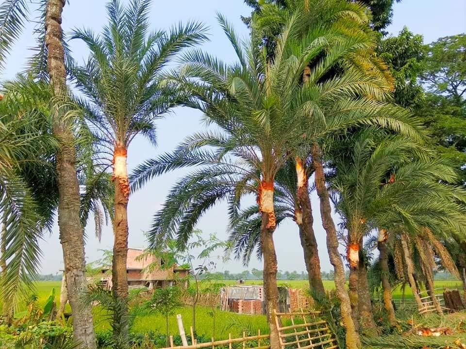 যশোরের ঐতিহ্য