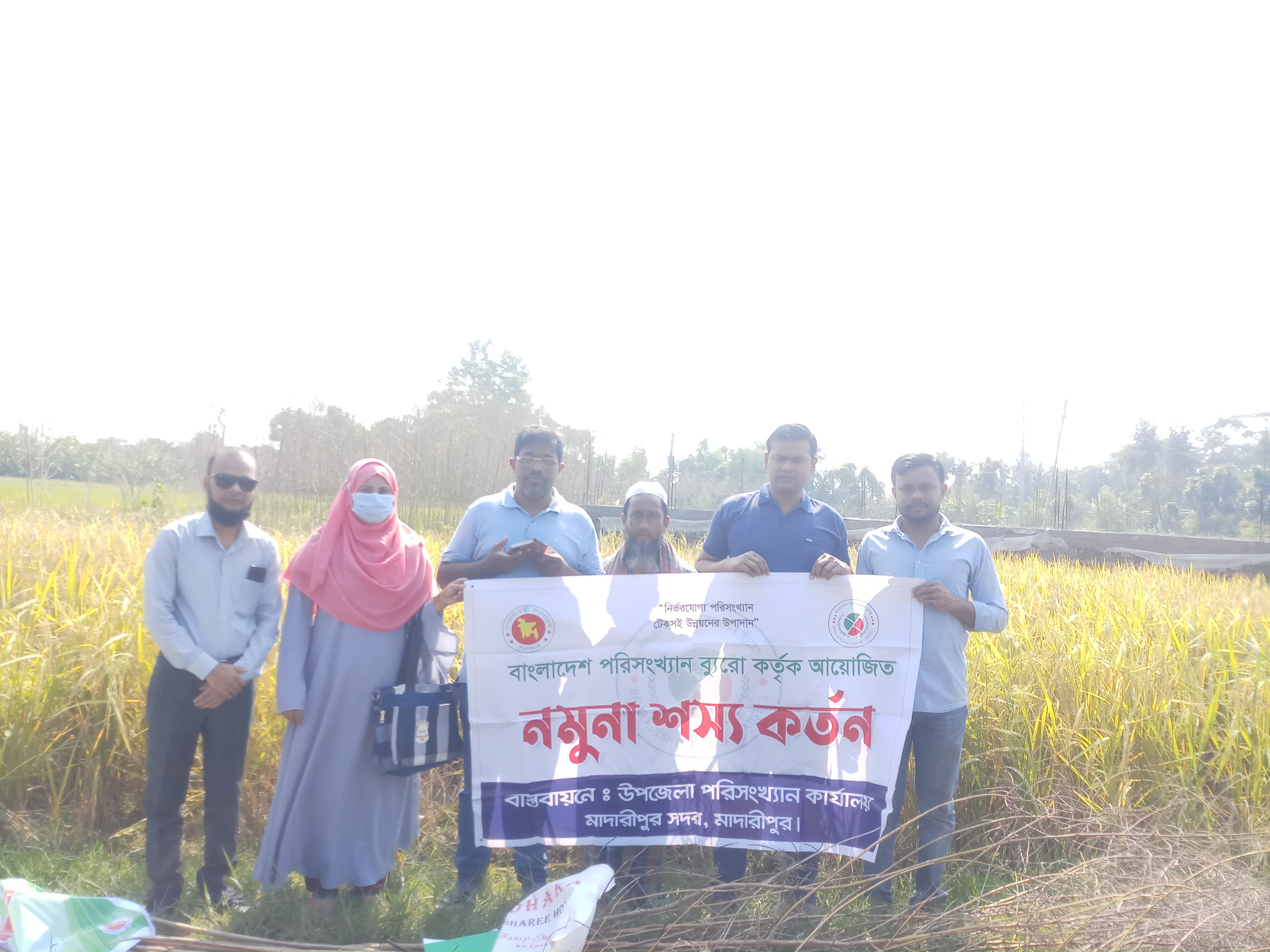 শস্য কর্তন