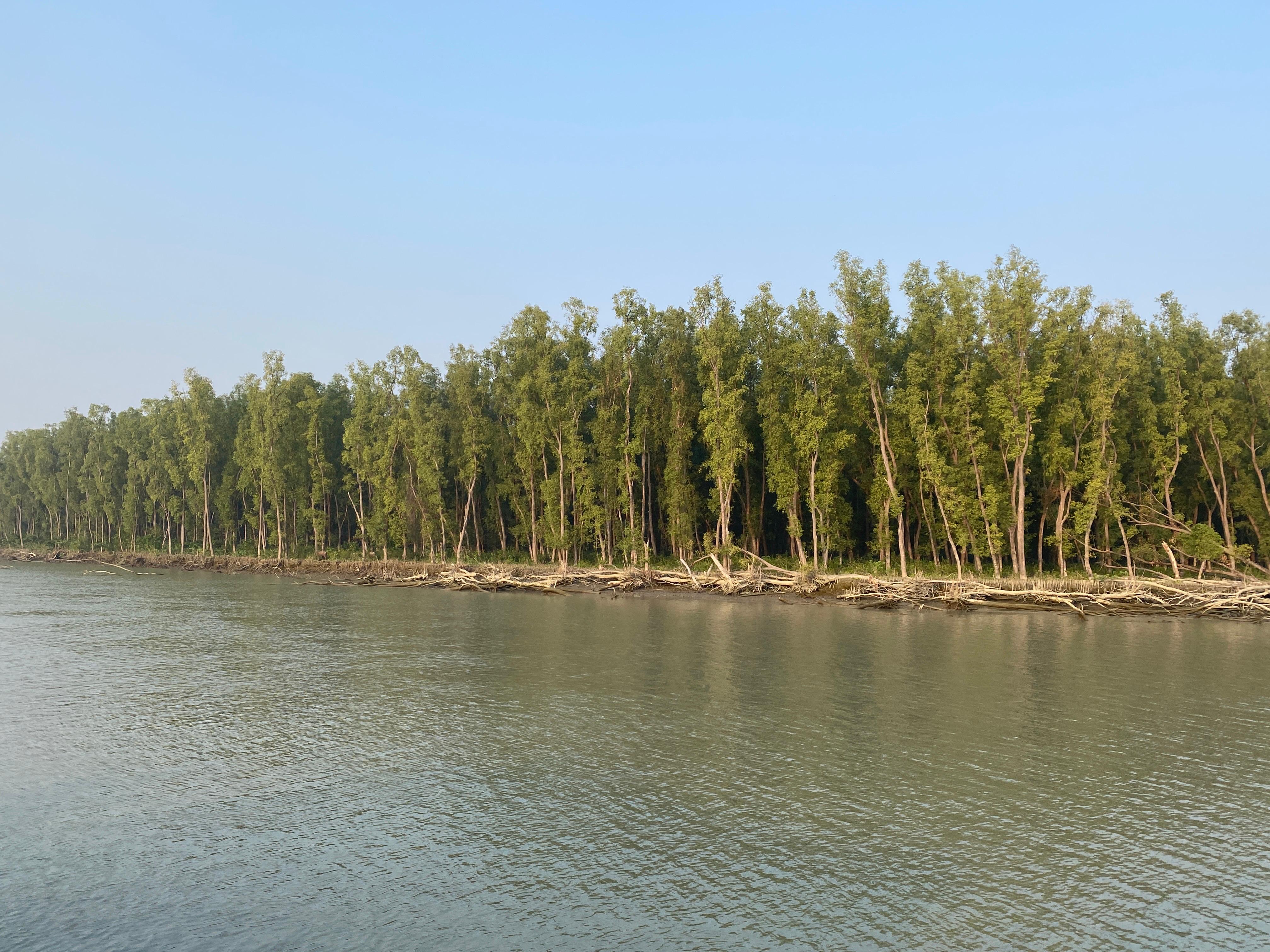 চর মন্তাজ