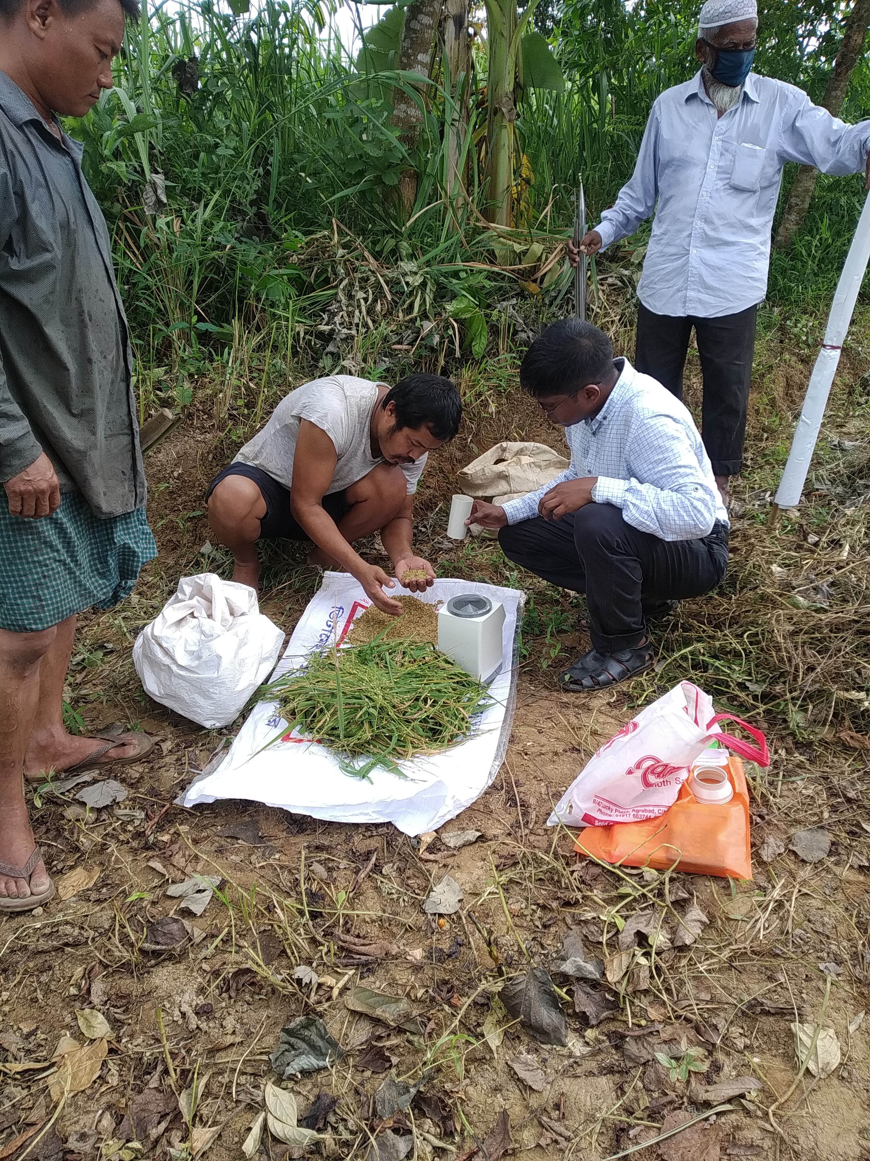 ই-সেবা কেন্দ্র, জেলা প্রশাসন