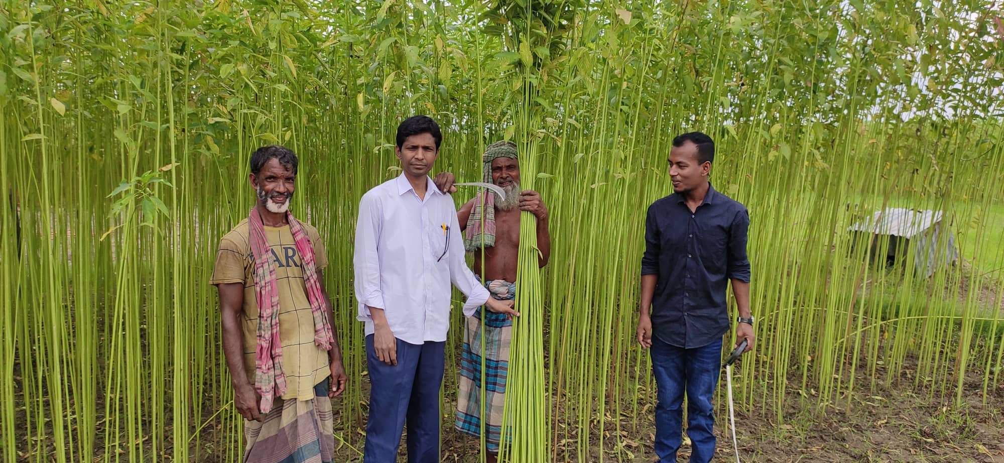 পাট র্কতন