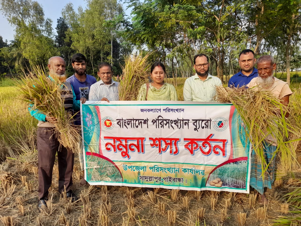 আউশ কর্তন ২০২৪