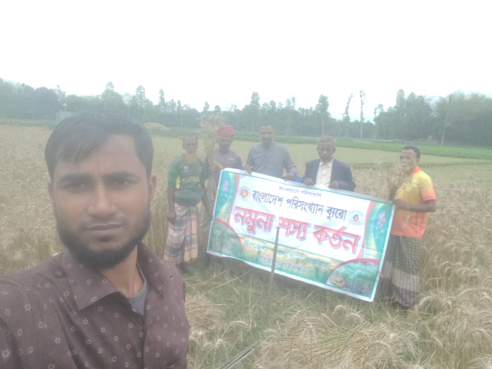 সাদুল্লাপুর উপজেলার গম ফসলের নমুনা কর্তন-২০২৬