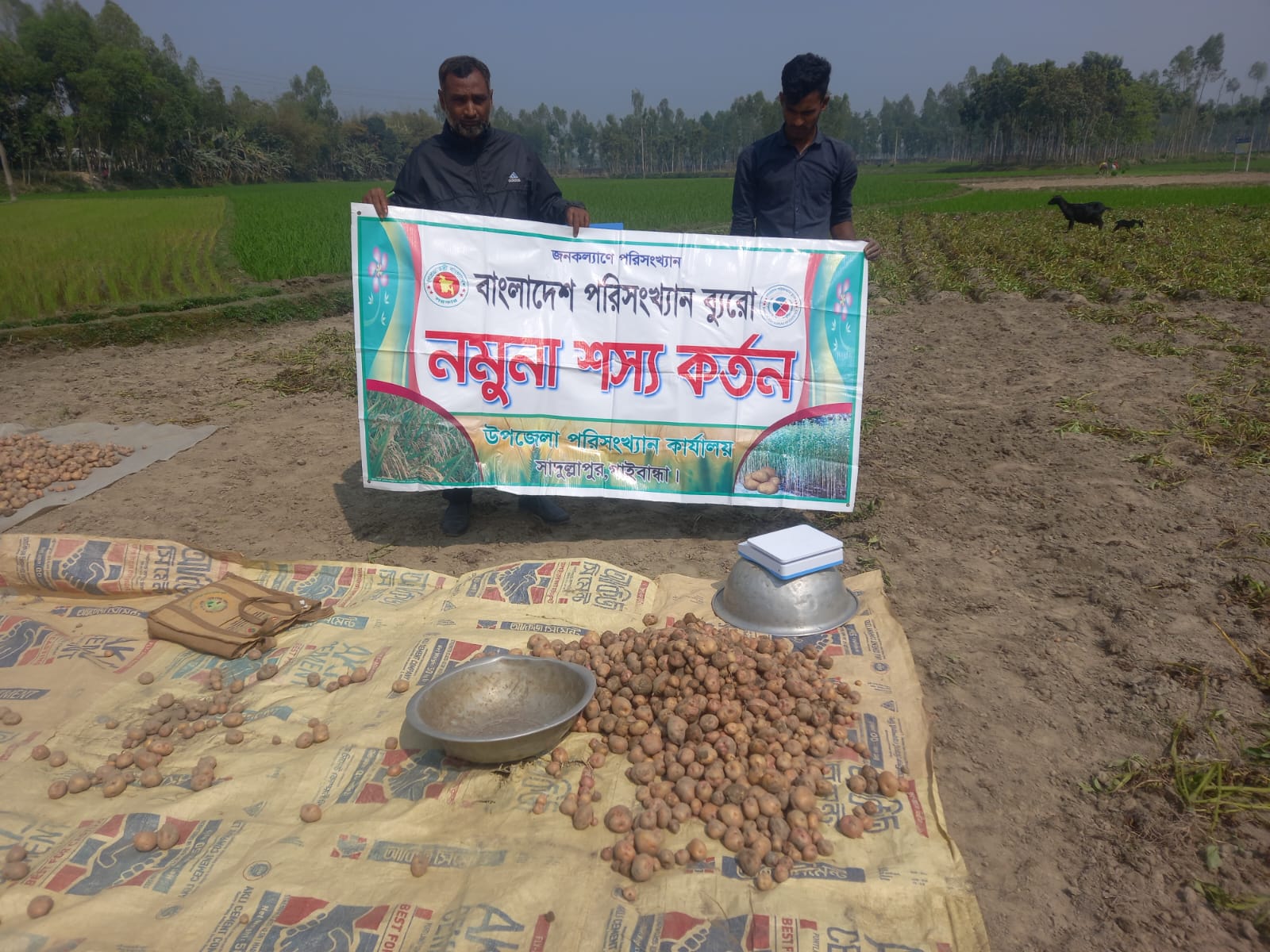 উপজেলা পরিসংখ্যান অফিস সাদুল্লাপুর