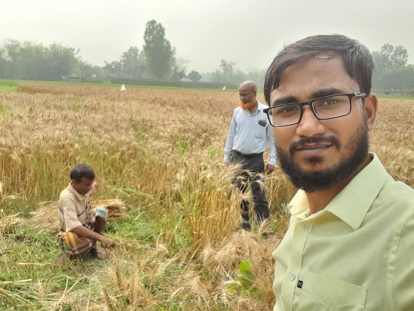 উপজেলা পরিসংখ্যান অফিস সাদুল্লাপুর