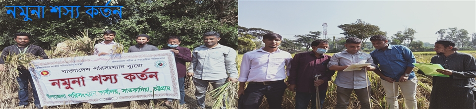 নমুনা শস্য কর্তন