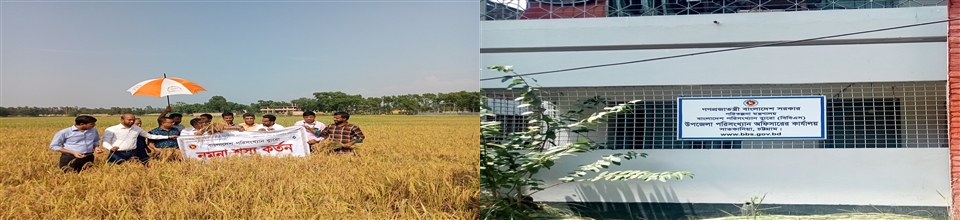 পরিসংখ্যান অফিস