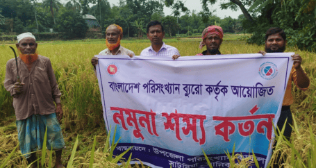 নমুনা শস্য কর্তন