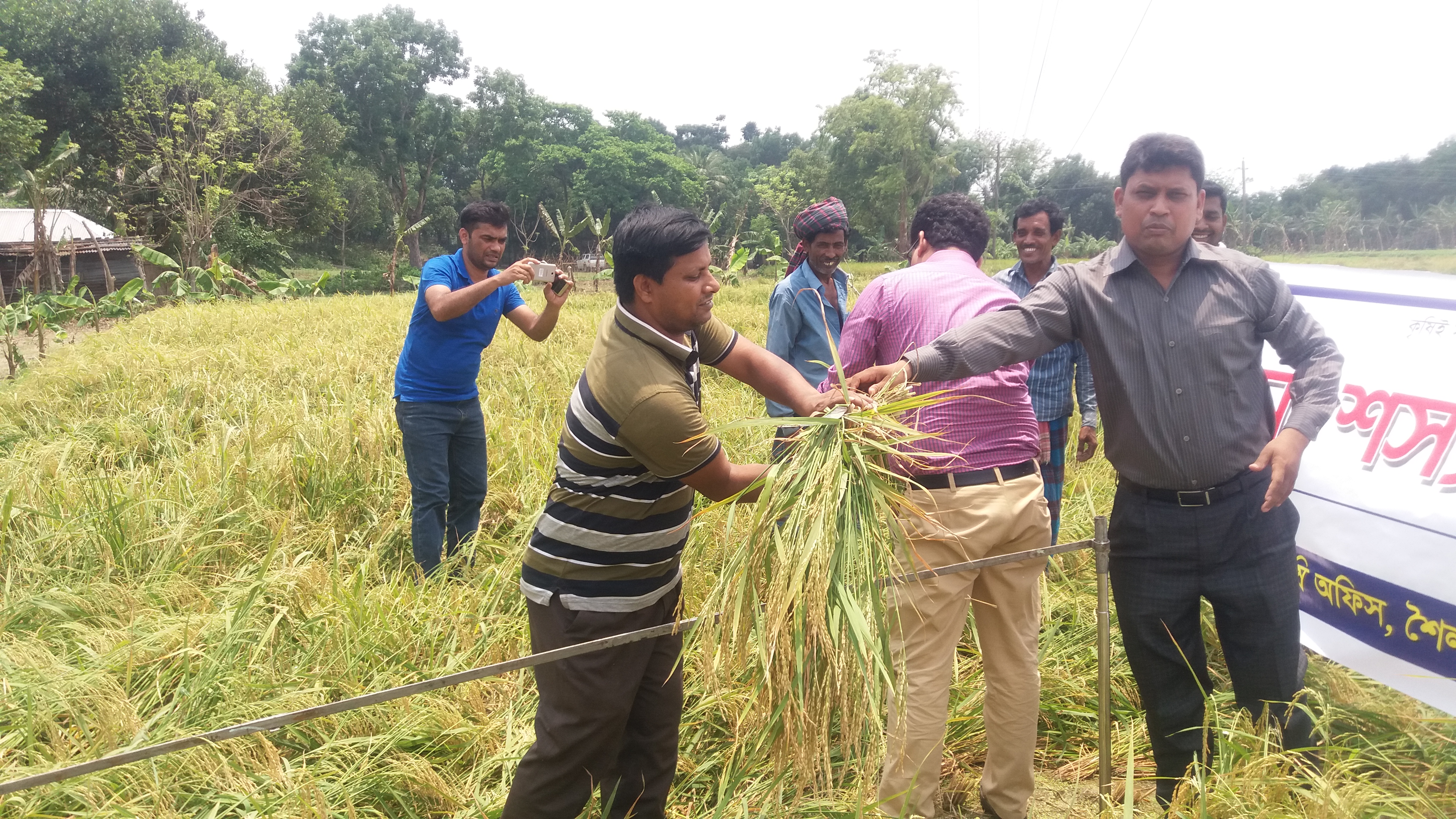 Service Process Simplification