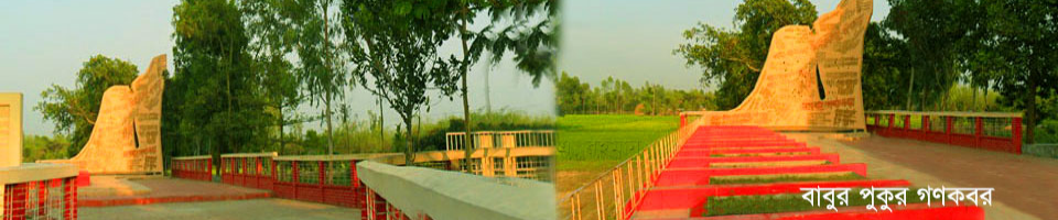 বাবুর পুকুর গণকবর