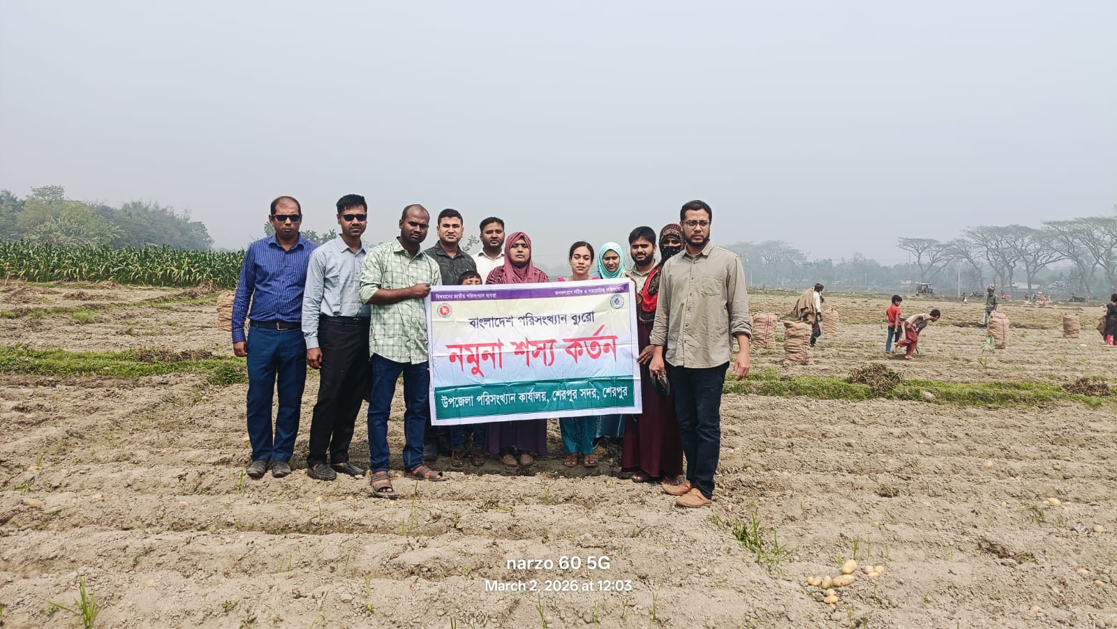 নমুনা শস্য কর্তন