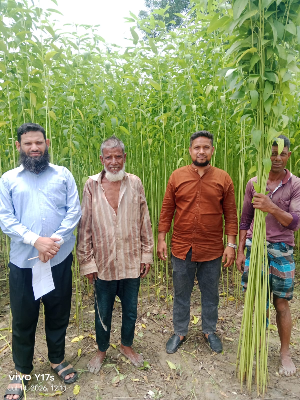 পাট কর্তন ২০২৬