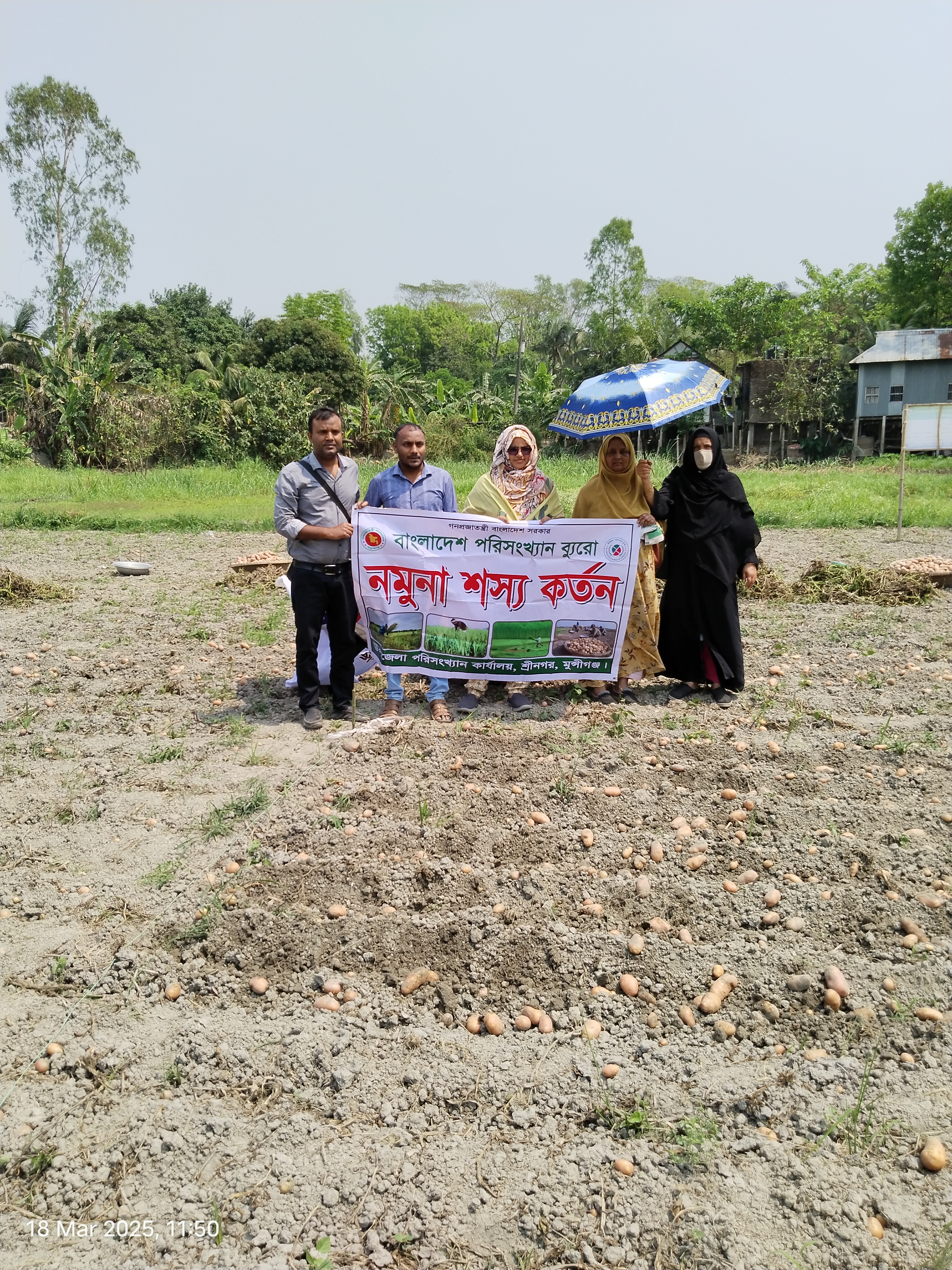 আলু কর্তন