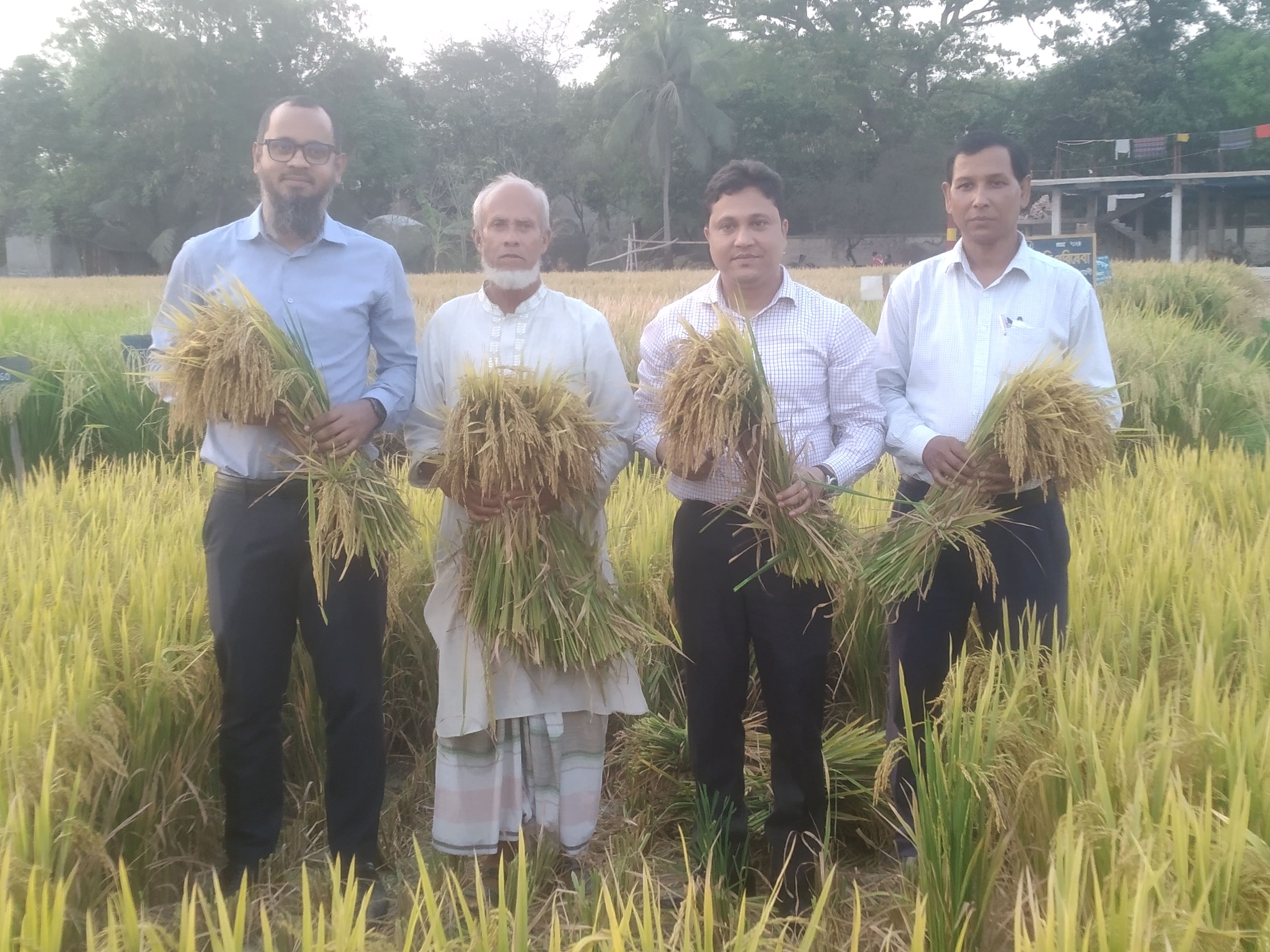 বোরো ফসলের নমুনা কর্তনে উপস্থিত ছিলেন তানোর উপজেলার ইউএনও মহোদয় জনাব মো. মোস্তাফিজুর রহমান স্যার, কৃষি কর্মকর্তা ও পরিসংখ্যান কর্মকর্তা জনাব মোহাঃ শরিফুল ইসলাম স্যার।