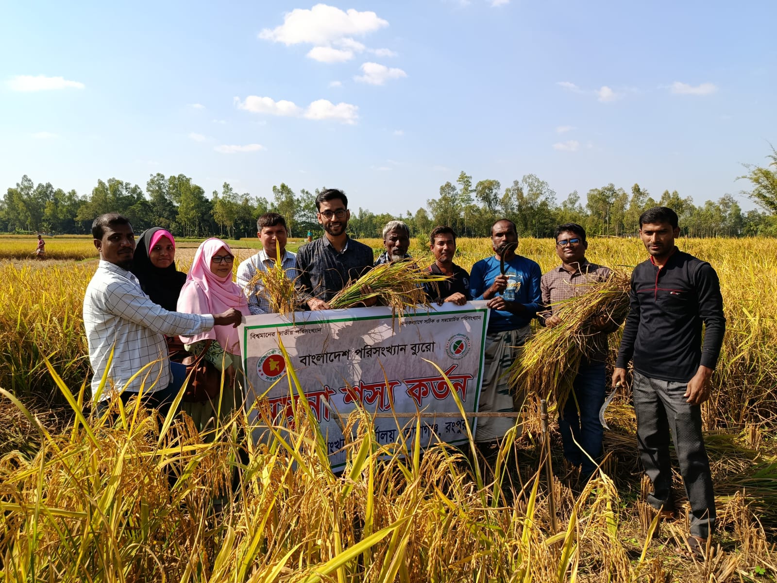 আমন ফসলের নমুনা কর্তন -২০২৫