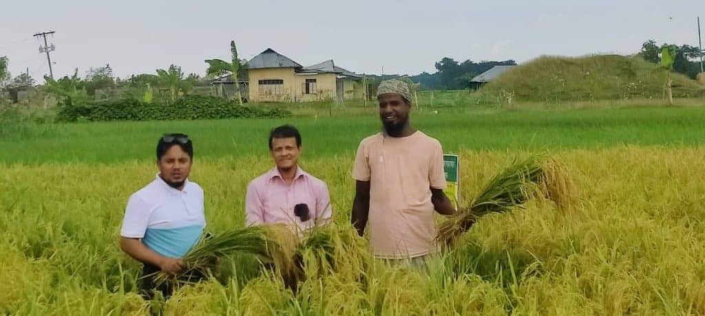 ফসল নমুনা কর্তন