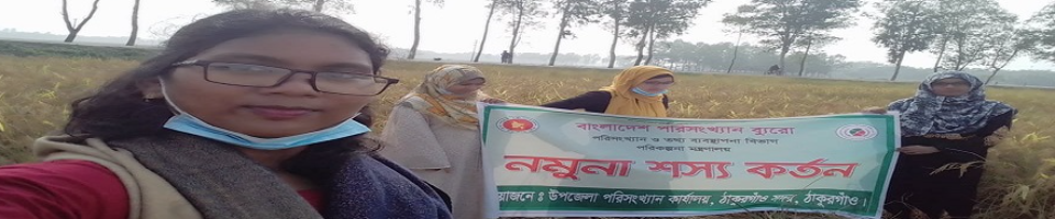 নমুনা ফসল কর্তন ৫