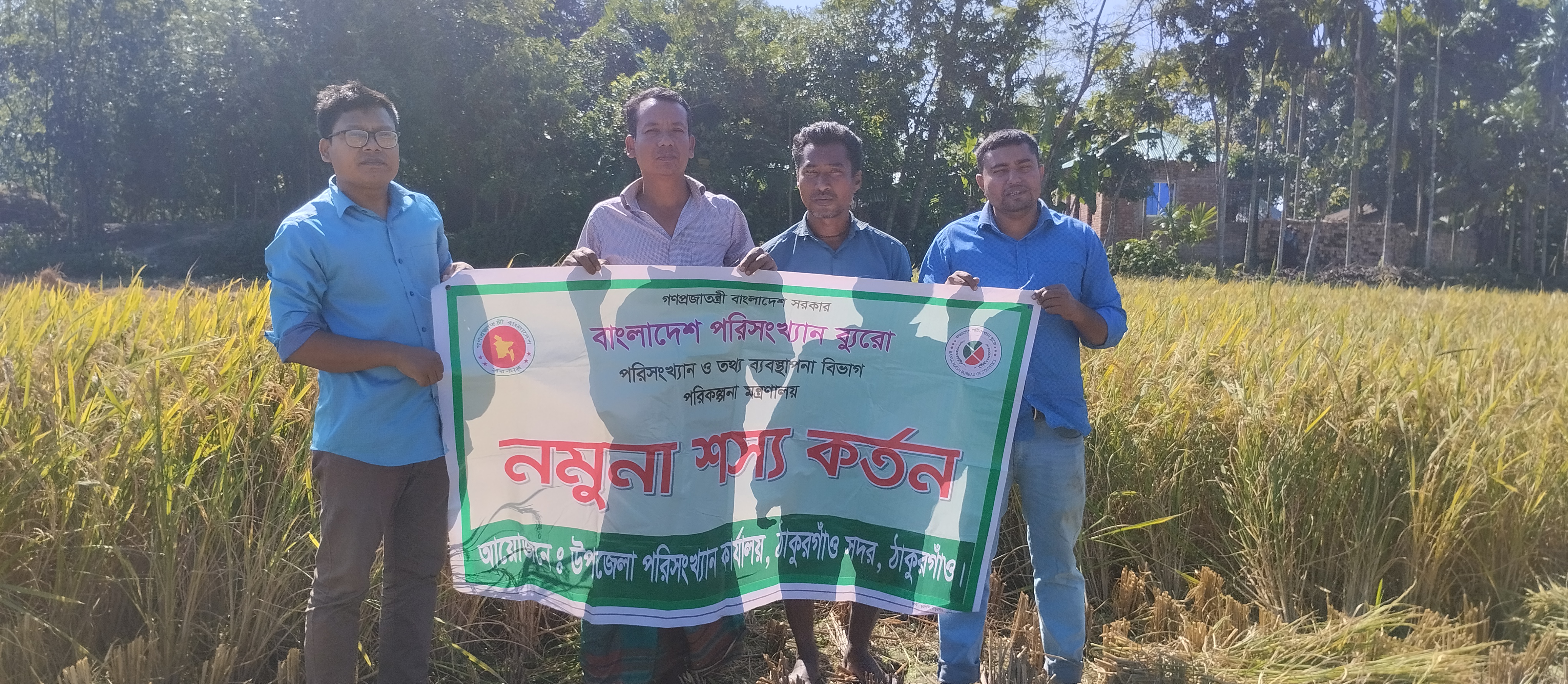 আমন ফসলের নমুনা কর্তন ০২/২০২৫