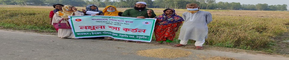 নমুনা ফসল কর্তন