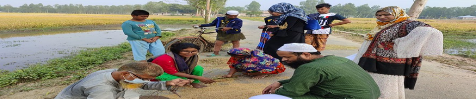 নমুনা ফসল কর্তন ২