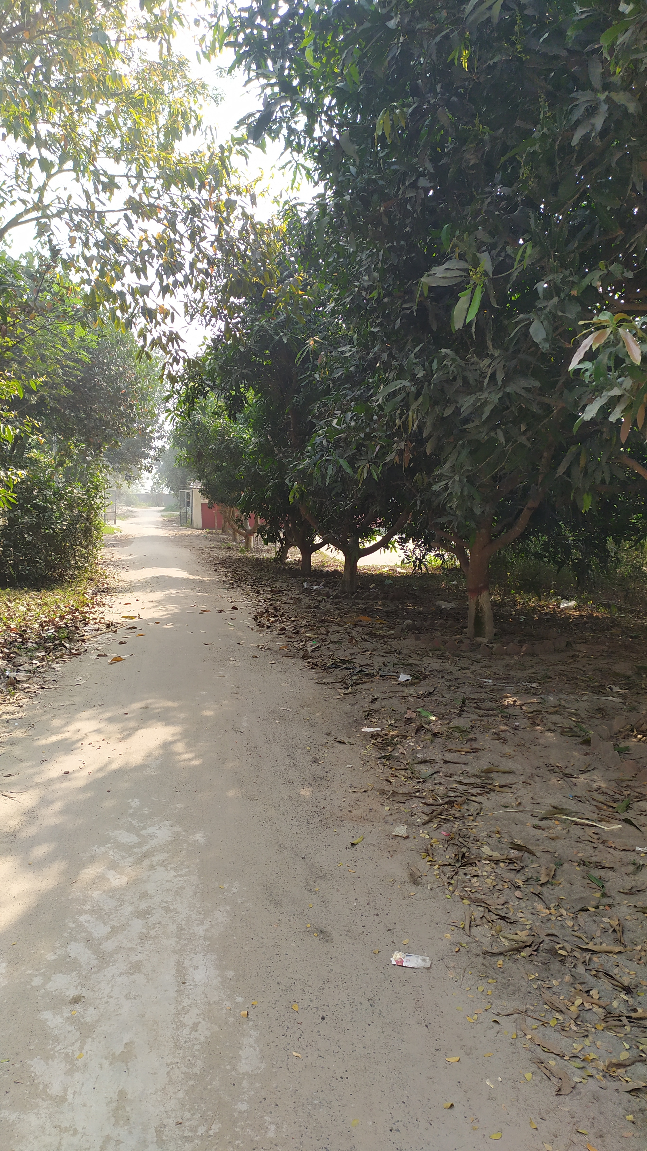 তিতাস উপজেলা পরিষদ