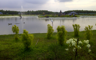 বঙ্গবন্ধু সাফারী পার্ক, শ্রীপুর, গাজীপুর।