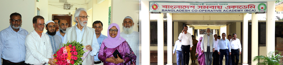 মাননীয় উপদেষ্টা