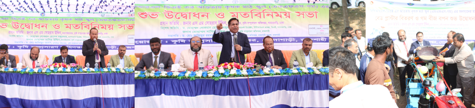 বেড প্লান্টার