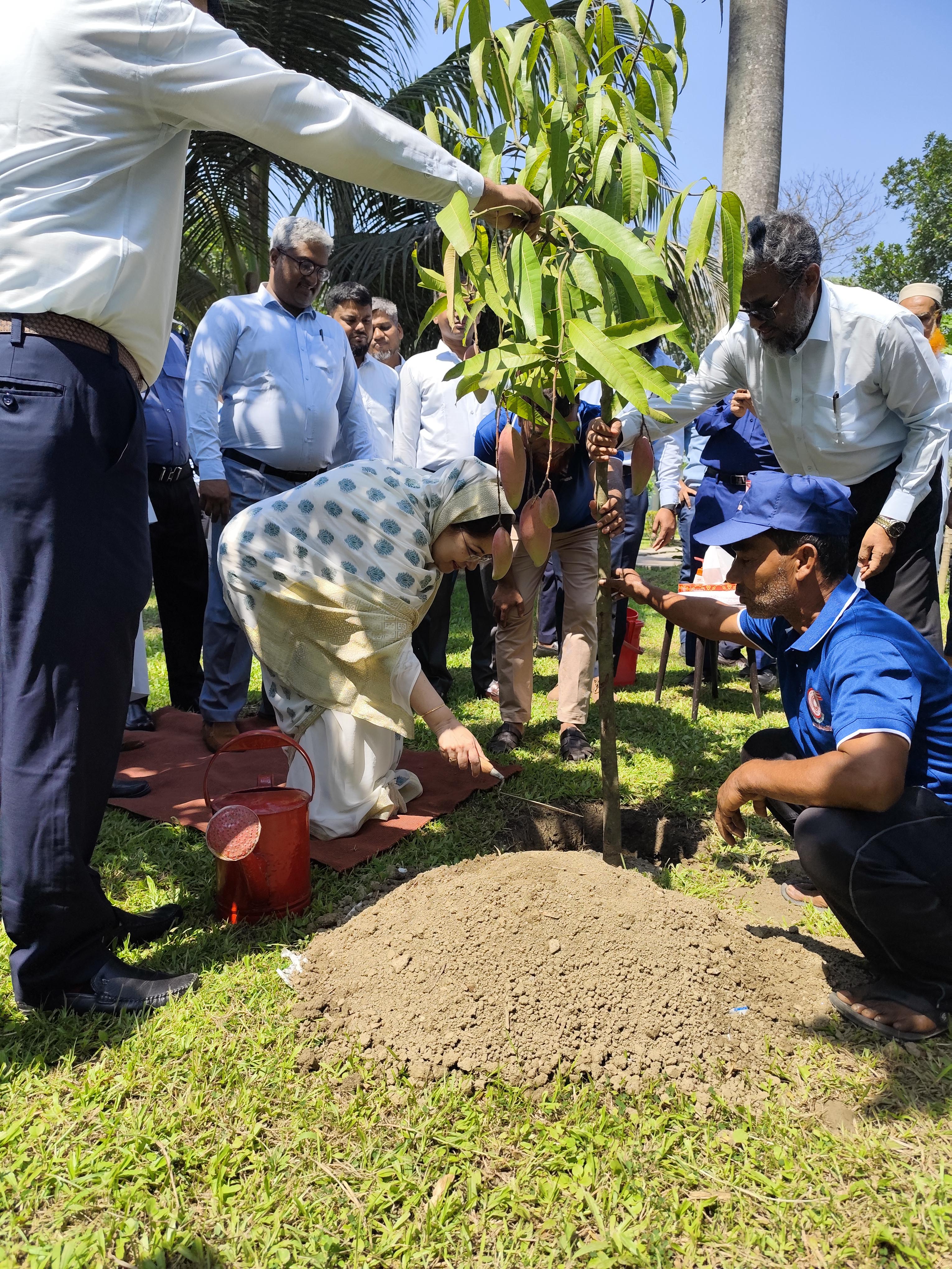 গণপ্রজাতন্ত্রী বাংলাদেশ সরকারের ডাক ও টেলিযোগাযোগ বিভাগের সচিব এবং বাংলাদেশ ক্যাবল শিল্প লিমিটেড (BCSL) পরিচালনা পরিষদের চেয়ারম্যান জনাব মিজ বিলকিস জাহান রিমি বাংলাদেশ ক্যাবল শিল্প লিমিটেড প্রাঙ্গণে বৃক্ষরোপণ করেন।