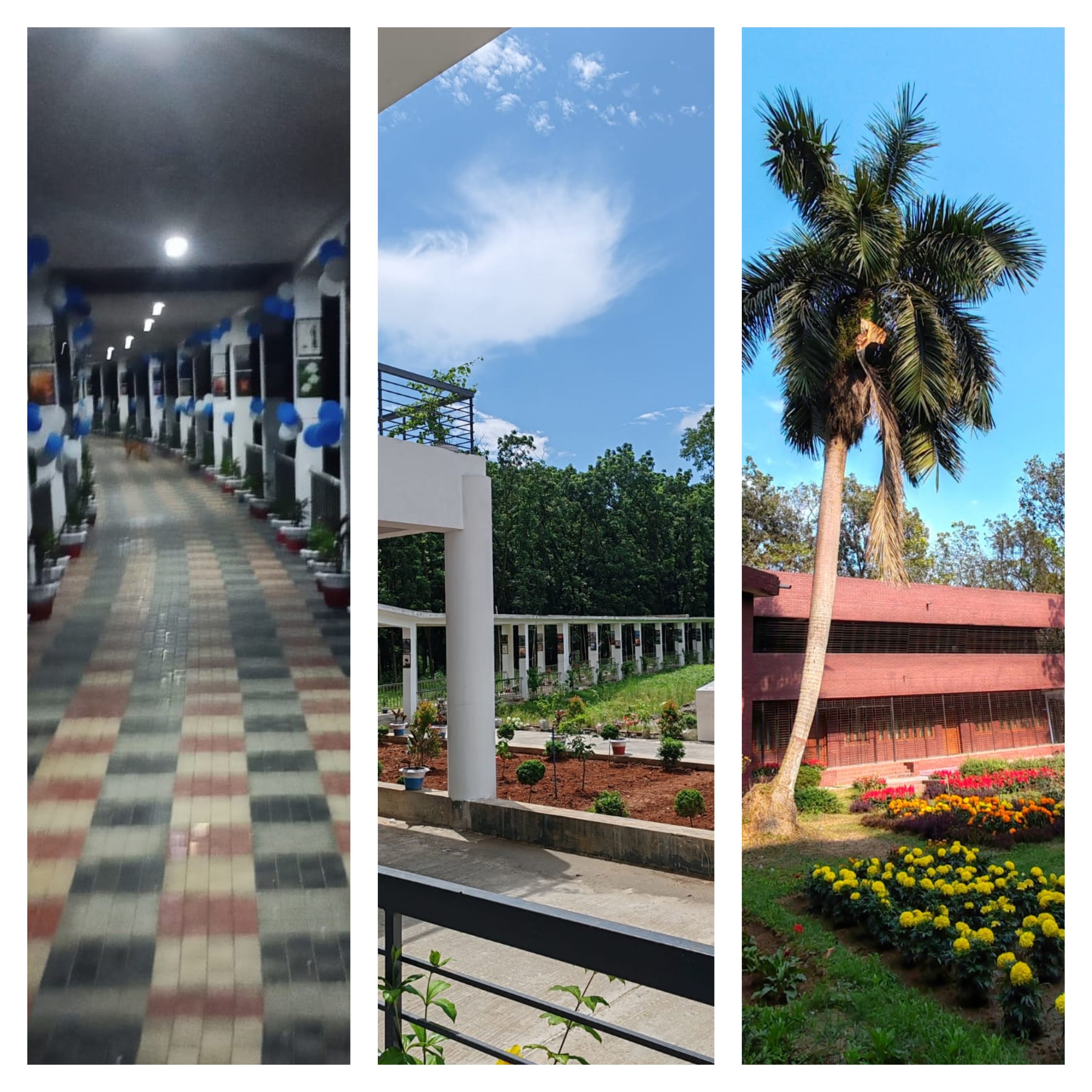 একাডেমিক ভবন