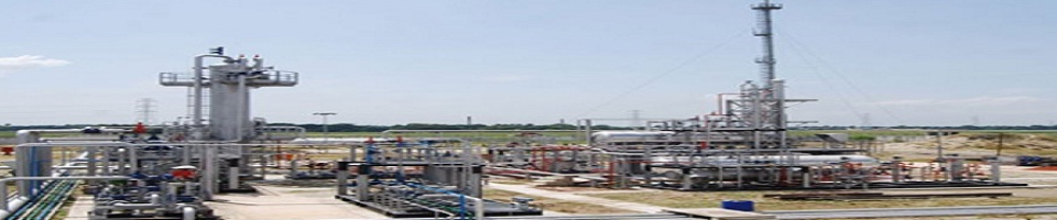 প্রসেস প্লান্ট