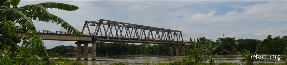 শেওলা সেতু