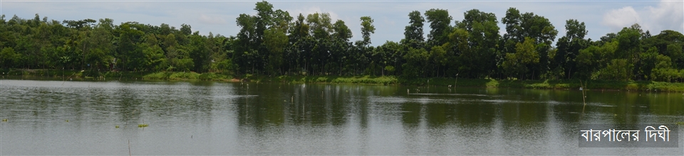 বারপালের দিঘি