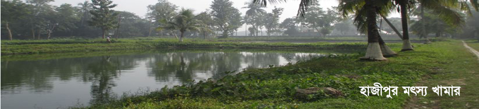 হাজীপুর মৎস্য খামার