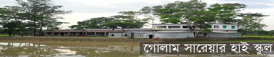 দেওয়ান গোলাম সারওয়ার মাধ্যমিক উচ্চ বিদ্যালয়
