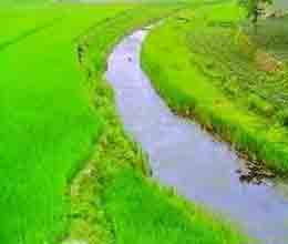 ভূমি-সেবা