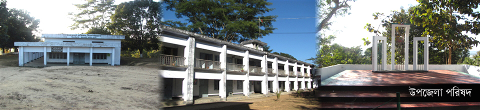 উপজেলা পরিষদ