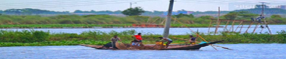 নদীর মাছ ধরা