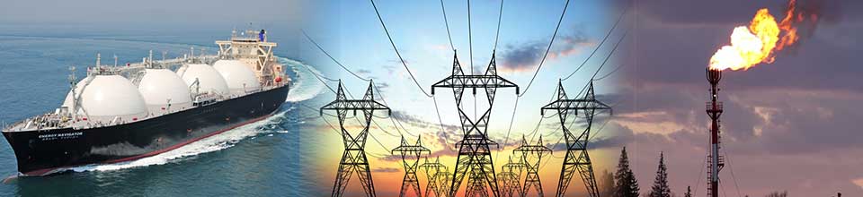 পেট্রোলিয়াম, বিদ্যুৎ ও গ্যাস