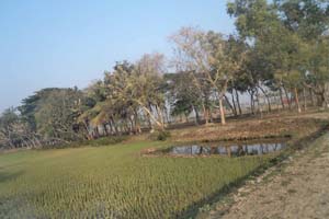 ভূমি অফিস